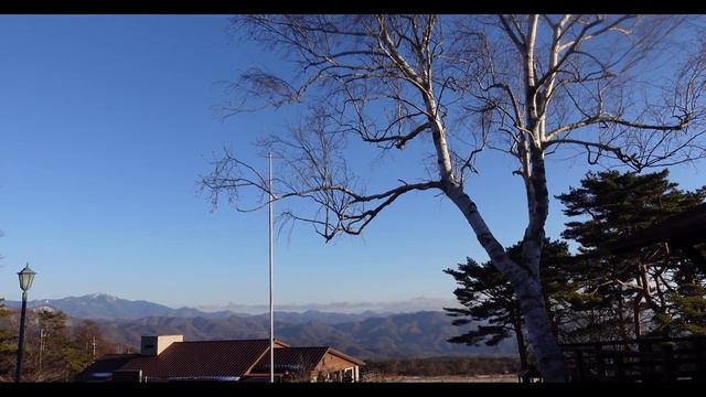 【八ヶ岳南麓６０代一人暮らし】#45 人生の失敗から八ヶ岳へ移住した話/冬の吐竜の滝/清里・清泉寮の静かな雪残るの森/いつもの猫たち/移住暮らし/田舎暮らし／シニアライフ смотреть онлайн