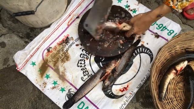 Удивительная традиционная рыбалка в Камбодже | как рыбачить вручную в Камбодже #3 смотреть онлайн