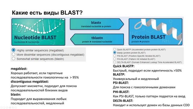 BM4. Как работает алгоритм BLAST и какие виды BLAST бывают