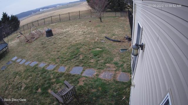 Escape Artist Tricks смотреть онлайн