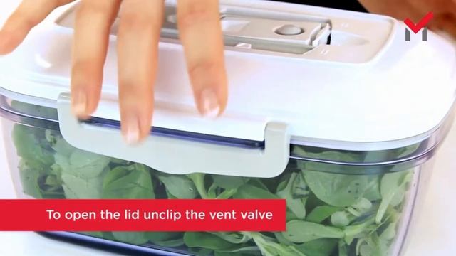 Вакуумный упаковщик для дома Maxima-2 Magic Vac смотреть онлайн