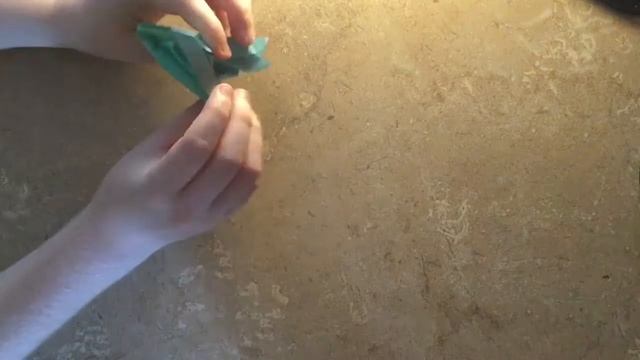 Origami Praying Mantis (M) смотреть онлайн