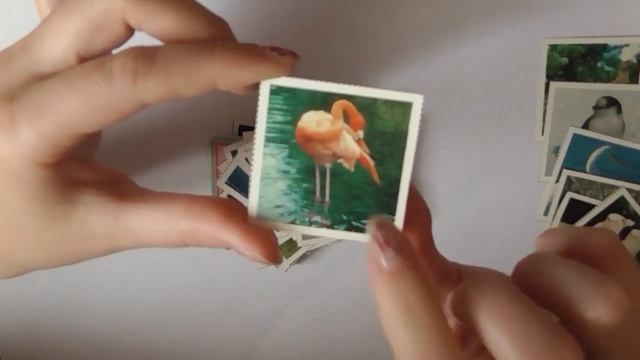 АСМР ASMR Карты с изображениями птиц, игра, релакс смотреть онлайн