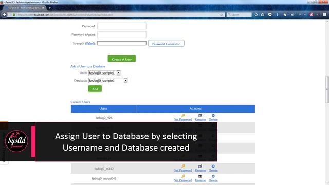 Create User in SQL and assigned Database in your Bluehost Account смотреть онлайн