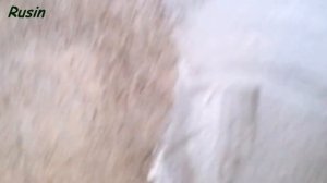 Штукатурка (известковая стена) ремонт