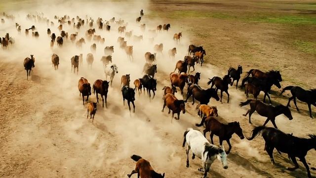 Mustafa Sandal & İndira Elemes - Yoksay смотреть онлайн