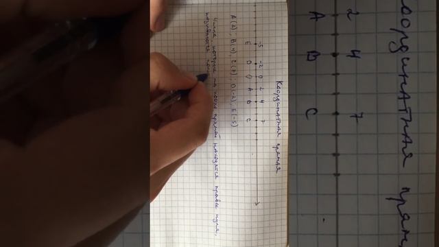 Координатная прямая смотреть онлайн