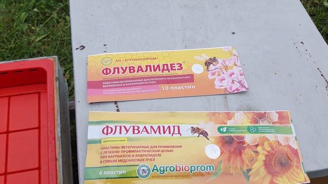Флувалинт или щавелька? Чем лечить пчел? Мои кормушки для сиропа смотреть онлайн