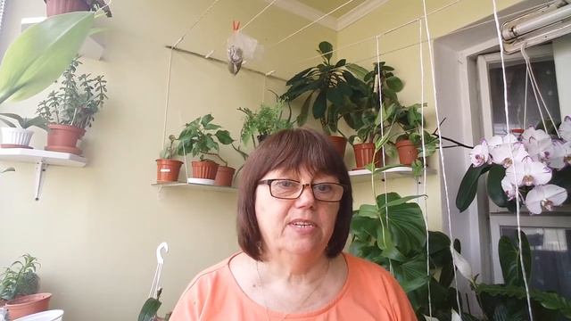294.Сколько же у меня растений?😂😂😂 смотреть онлайн
