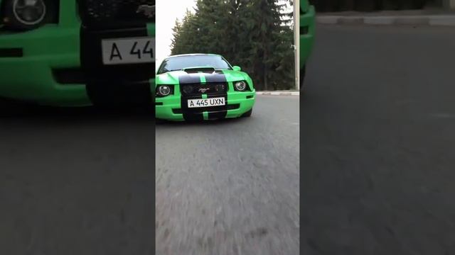 Мустанг Клип смотреть онлайн