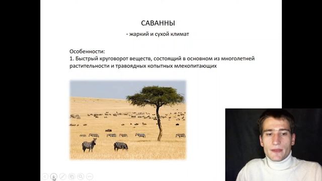 Биомы Земли. Мини-курс биология ЕГЭ смотреть онлайн