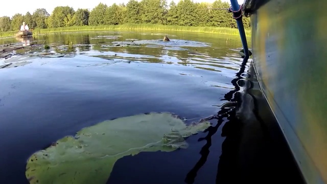 Под взором орлиным