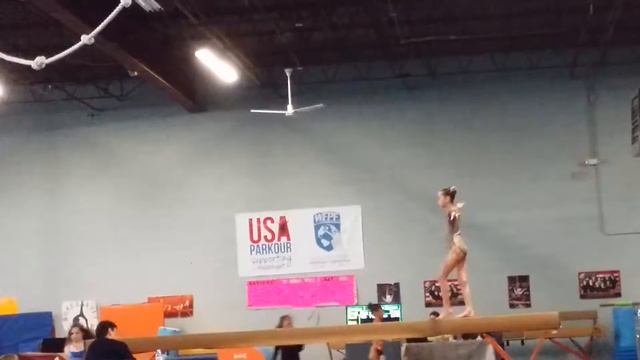 Savannah somersault jungle jam beam routine смотреть онлайн