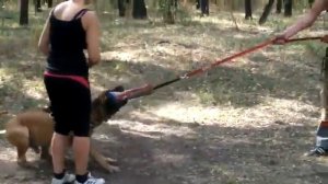 Бурбуль Берг 1год (охрана)