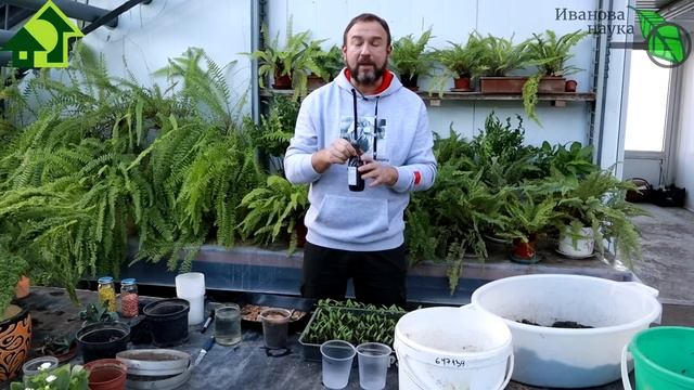 ДАЖЕ НАУЧНЫЙ СОТРУТНИК НЕ ЗНАЕТ ОБ ЭТОМ! Как ИДЕАЛЬНО провести пикировку С ЗАГЛУБЛЕНИЕМ. смотреть онлайн