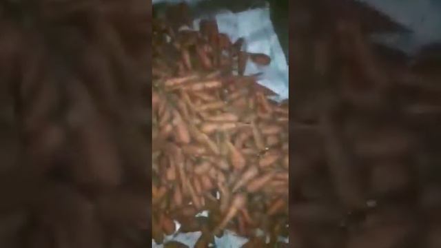 Овощи оптом. смотреть онлайн