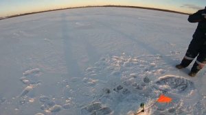 ЭТО ЕГО ПЕРВАЯ!!! Жерлицы !!! Щука !!! Рыбалка на озере | БАРХАТОВО