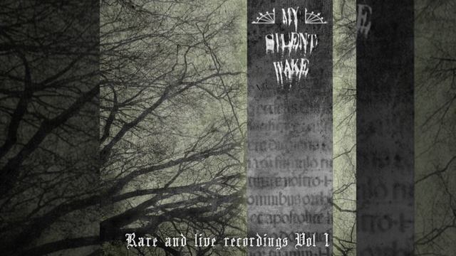 Shadow of Sorrow (live) смотреть онлайн
