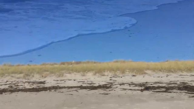 Франция🗼Возле океана🐬💦Релакс🐚С Наступающим Новым Годом!🎄🎅🏼🤶 смотреть онлайн