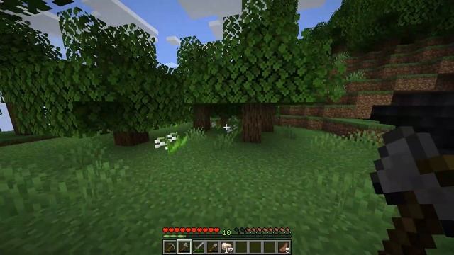 A BEAUTIFUL New SURVIVAL World! - Minecraft 1.19 Wild Update (Let's Play #1)