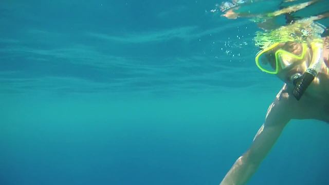 Акула в Египте Домина Корал Бэй Domina Coral Bay shark attack смотреть онлайн