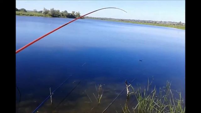 Рыбалка 04.09.2016. в Бельмесёвской протоке смотреть онлайн