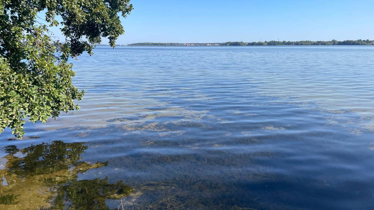 Подводная охота на карася смотреть онлайн