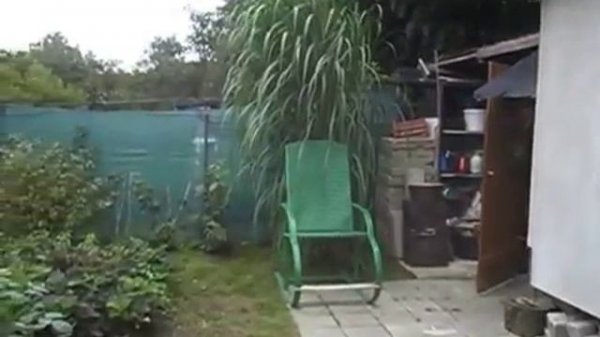 Cigáň a cigánsky aktivista Marek Baláž podáva toto svedectvo: Cigáni nemusia žiť tak zle ako žijú