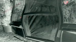 Аdvertising  Реклама Китикет Kitekat   Борис поймал пчелу In G Major 74