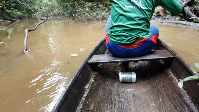 COMUNIDADE SÃO FRANCISCO DA MANGUEIRA - AMAZONAS - VÍDEO  ( 2 )