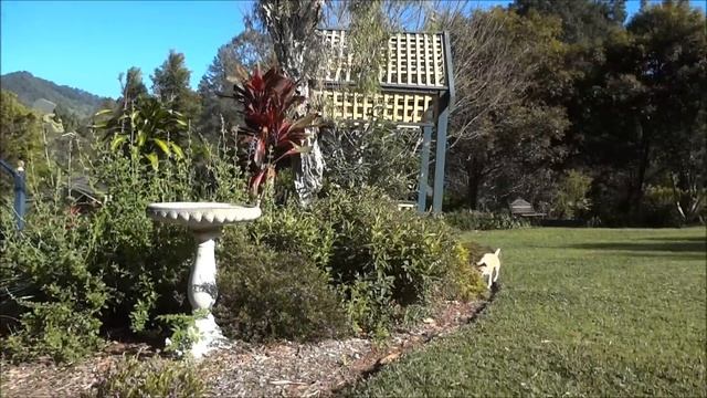 Sony DSC-WX7 Photo, Video & Zoom Test (HD) смотреть онлайн