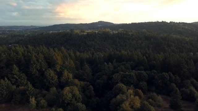 По приказу невесты внук выпер бабушку из квартиры догнивать в старой трущобе. Вскоре ему воздалось смотреть онлайн