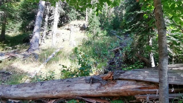 Карачаево Черкесия смотреть онлайн