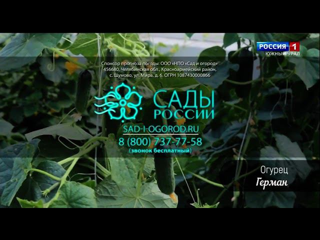 Окончание нвостей РОССИЯ 1 ЮЖНЫЙ УРАЛ 13.05.2023 смотреть онлайн