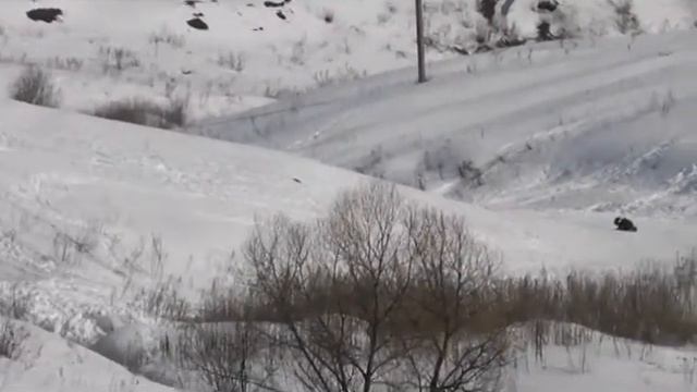 Тербуны Улица Липецкая смотреть онлайн