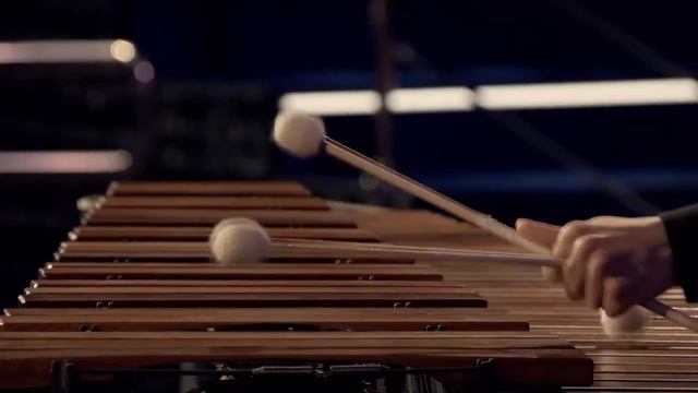 Joseph Schwantner - Velocities (Molto Perpetuo) for Solo Marimba смотреть онлайн