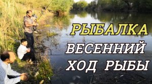 Весенний ход рыбы во время паводка. Разведка какая рыба сейчас ловится.