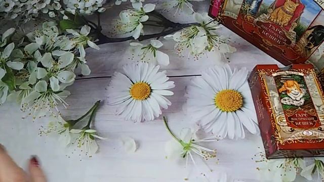 КАРТА ДНЯ. ТАРО ПРОГНОЗ НА 24 ДЕКАБРЯ, ПЯТНИЦА ДЛЯ ВСЕХ ЗНАКОВ ЗОДИАКА♈ ♉♓♐♏♎♍♌♋♑♒♊ смотреть онлайн