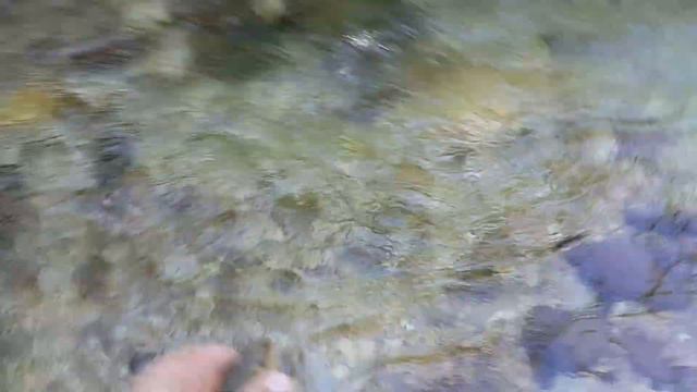 Рыбалка в КБР смотреть онлайн