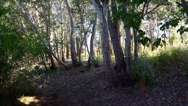 Воспоминание о лете/ Урал/ Орск/ Рыбалка/ Природа смотреть онлайн