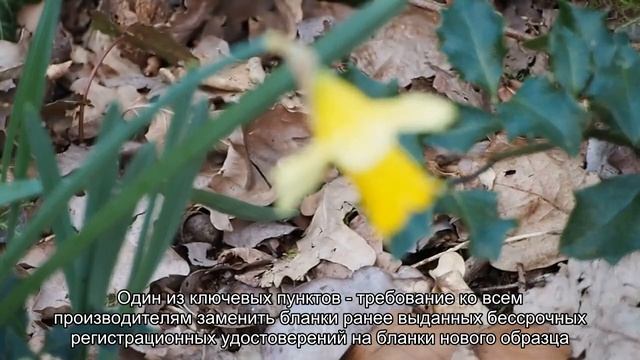 Новые бланки регистрационных удостоверений для медизделий могут стоить клиникам страны до 31 млрд смотреть онлайн