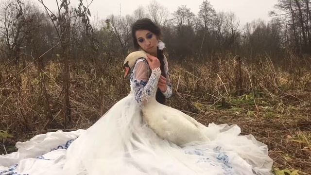Нежная фотосессия . Фотосессия с лебедем на природной локации смотреть онлайн