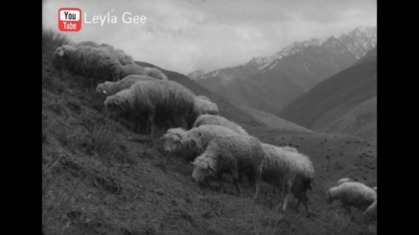 Али Цицкиев и сестры Ахриевы. Джейрах 1962 г