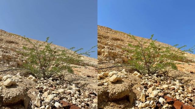 NIKON Z FC vs NIKON Z50 Camera Test смотреть онлайн
