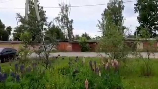 Калуга, Одоевское шоссе от 9 июня смотреть онлайн