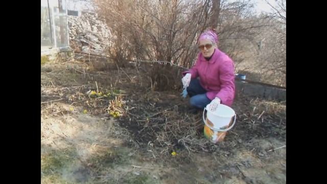 Начало дачного сезона - первые работы на участке смотреть онлайн