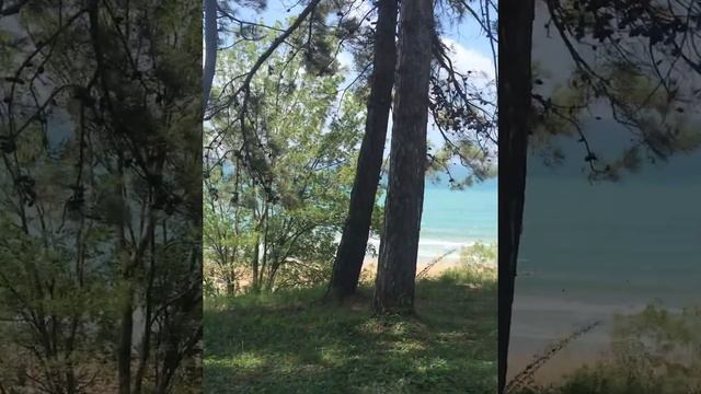 море краснодарский край смотреть онлайн