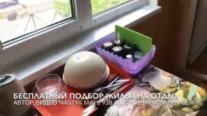 ЖИЛЬЕ В ГЕЛЕНДЖИКЕ 2024. Гостевой дом. Кирова 16