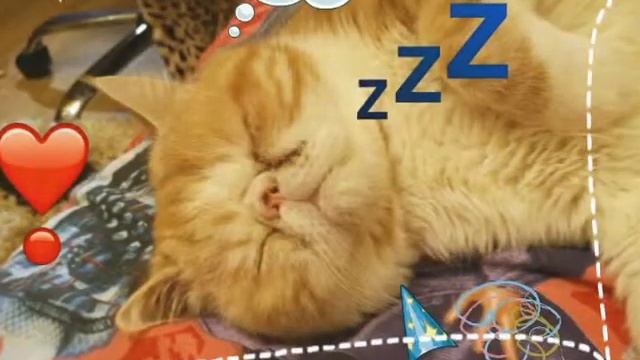 Любимый ВиДоС!!!! ; )