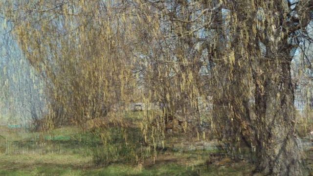 "В ЭКСТАЗЕ С ПРИРОДОЙ"... (Фото Измаила Ефимова (Йошкар-Ола) - Александр Скрябин - "Поэма экстаза") смотреть онлайн